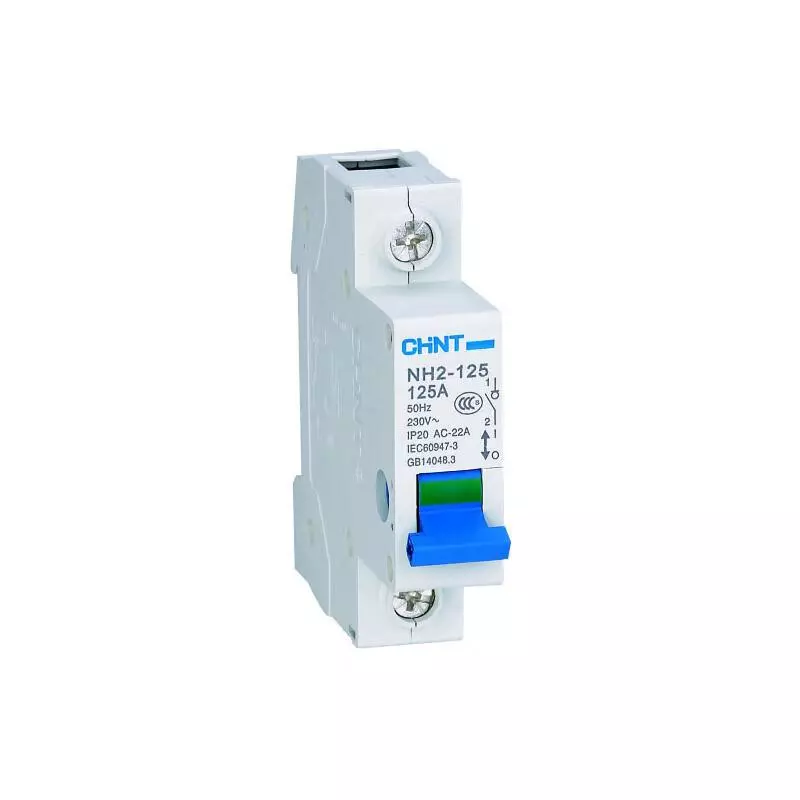 NH2-125 1P 100A(R)